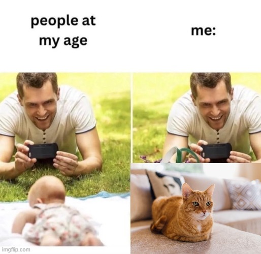 letting the cat out of the bag | image tagged in cats,memes,lol | made w/ Imgflip meme maker