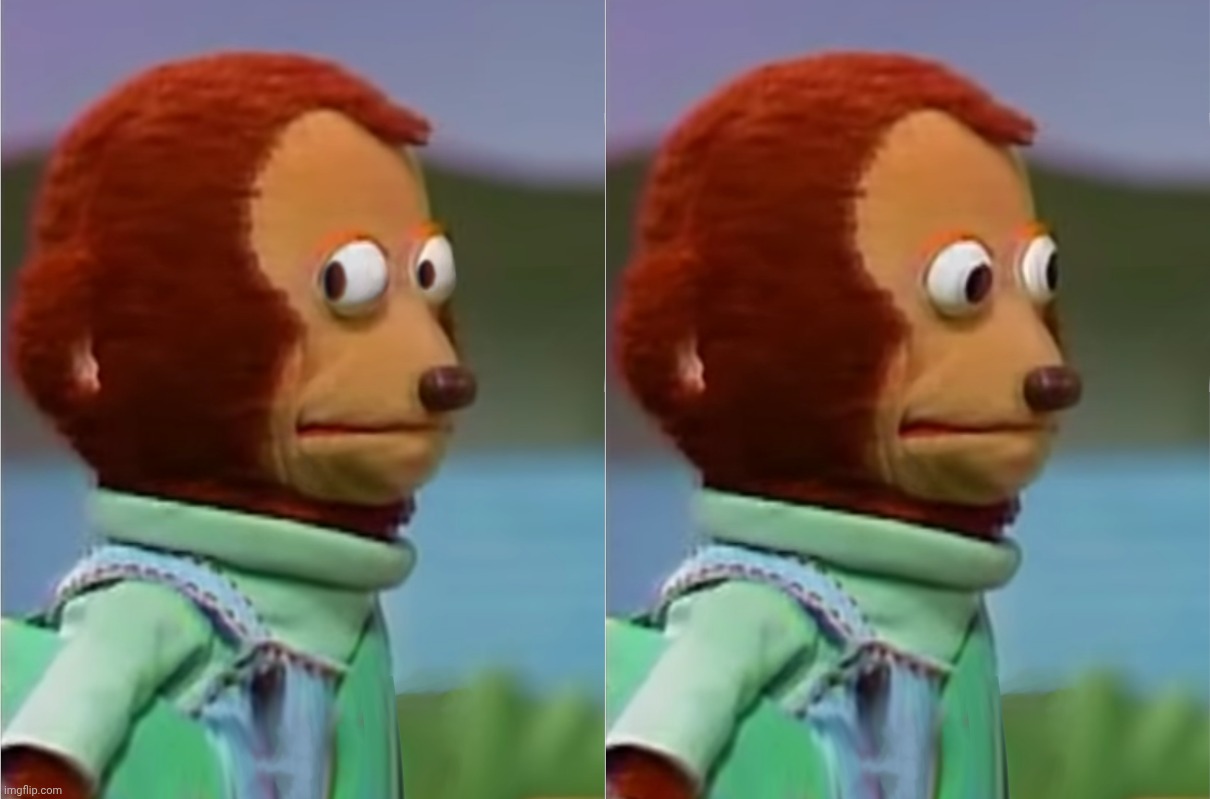 puppet Monkey looking away | image tagged in puppet monkey looking away | made w/ Imgflip meme maker