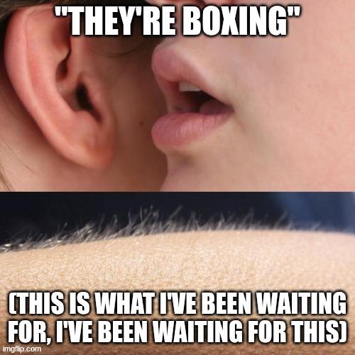 Todays the day | "THEY'RE BOXING"; (THIS IS WHAT I'VE BEEN WAITING FOR, I'VE BEEN WAITING FOR THIS) | image tagged in whisper and goosebumps | made w/ Imgflip meme maker