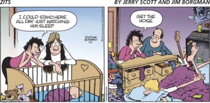 Zits | image tagged in comics | made w/ Imgflip meme maker