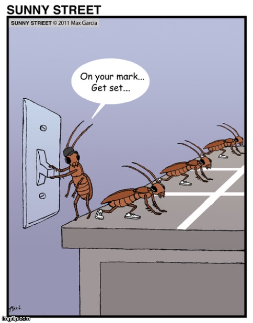 image tagged in comics,sunny street,cockroaches,race,light switch,kitchen | made w/ Imgflip meme maker