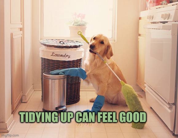Tidying up can feel good | TIDYING UP CAN FEEL GOOD | image tagged in house cleaning,autism,system,cleaning | made w/ Imgflip meme maker