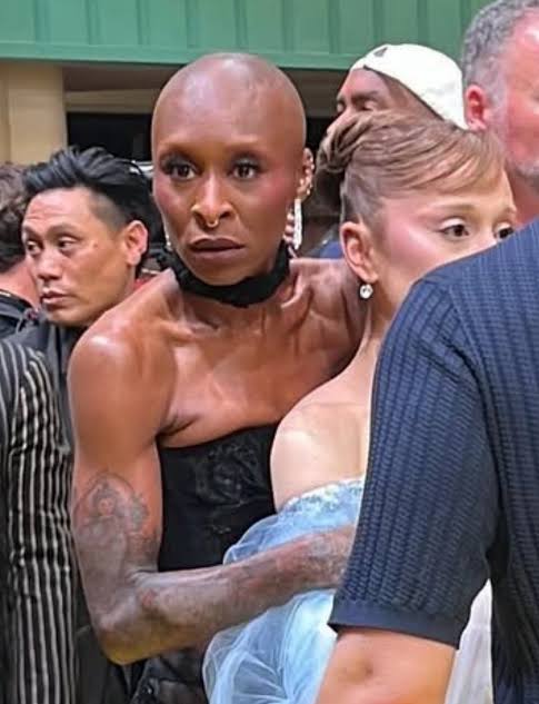 Cynthia Erivo Protecting Ariana Blank Meme Template