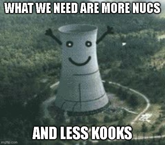 More nucs & less kooks! | WHAT WE NEED ARE MORE NUCS; AND LESS KOOKS | image tagged in nuclear power plant | made w/ Imgflip meme maker