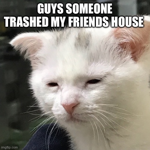 I'm awake, but at what cost? | GUYS SOMEONE TRASHED MY FRIENDS HOUSE | image tagged in i'm awake but at what cost | made w/ Imgflip meme maker