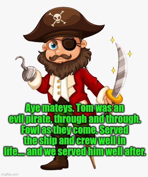 Aye mateys. Tom was an evil pirate, through and through. Fowl as they come. Served the ship and crew well in life.... and we served him well | image tagged in pirate | made w/ Imgflip meme maker