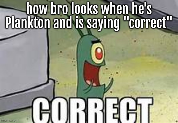 Plankton correct | how bro looks when he's Plankton and is saying "correct" | image tagged in plankton correct | made w/ Imgflip meme maker