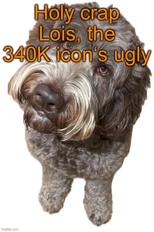 Changing it back immediately | Holy crap Lois, the 340K icon‘s ugly | image tagged in norther's dog | made w/ Imgflip meme maker