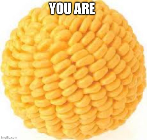 Cornball | YOU ARE | image tagged in cornball | made w/ Imgflip meme maker