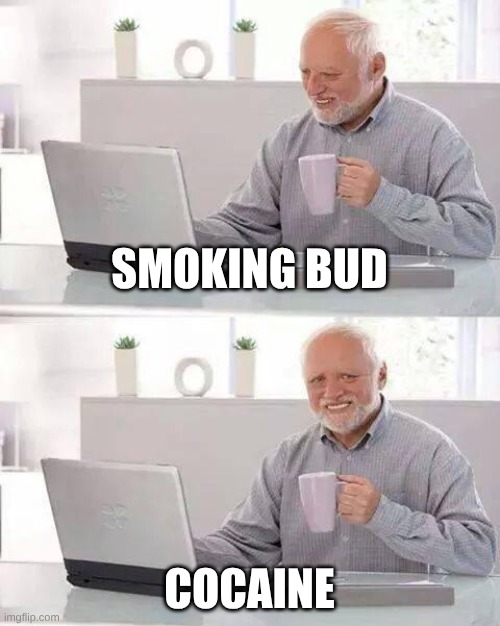 Drugs | SMOKING BUD; COCAINE | image tagged in memes,hide the pain harold | made w/ Imgflip meme maker