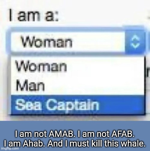 The fault lies with you, Ishmael | I am not AMAB. I am not AFAB.
I am Ahab. And I must kill this whale. | made w/ Imgflip meme maker