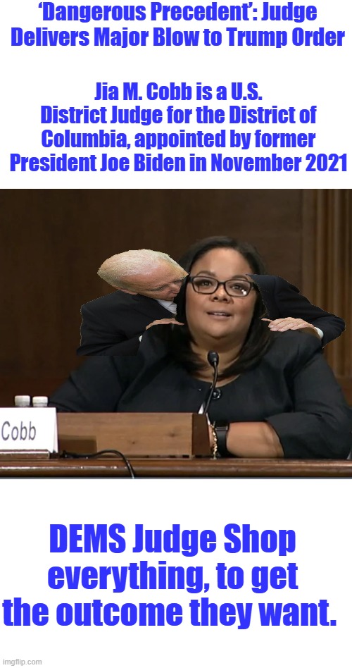 ‘Dangerous Precedent’: Judge Delivers Major Blow to Trump Order; Jia M. Cobb is a U.S. District Judge for the District of Columbia, appointed by former President Joe Biden in November 2021; DEMS Judge Shop everything, to get the outcome they want. | made w/ Imgflip meme maker
