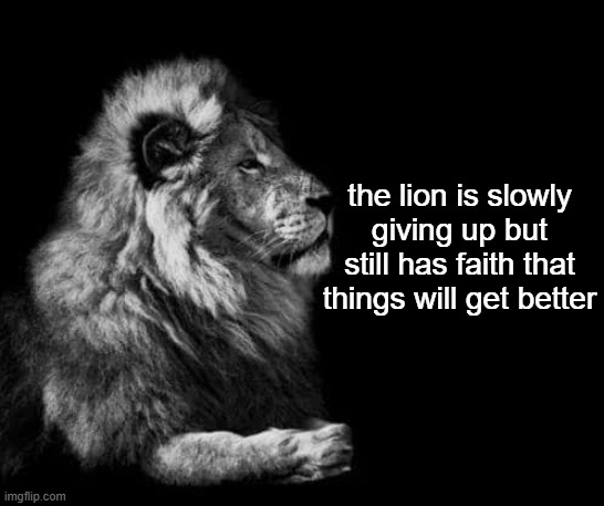 the lion.. | the lion is slowly giving up but still has faith that things will get better | image tagged in the lion | made w/ Imgflip meme maker