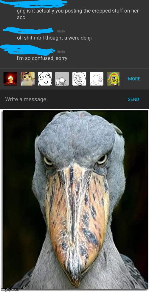 cancelled | image tagged in bird knows,denji | made w/ Imgflip meme maker