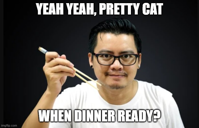 cat food | YEAH YEAH, PRETTY CAT; WHEN DINNER READY? | image tagged in hungry | made w/ Imgflip meme maker