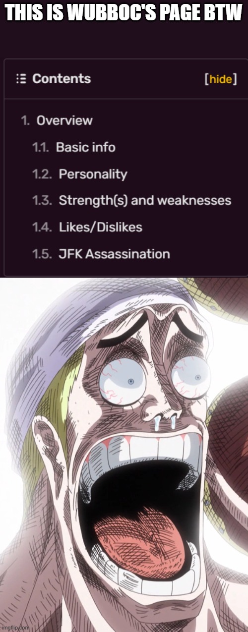 THIS IS WUBBOC'S PAGE BTW | image tagged in one piece enel shocked | made w/ Imgflip meme maker
