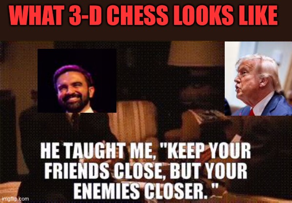 Only President Trump knows, What Trump is doing | WHAT 3-D CHESS LOOKS LIKE | image tagged in gifs,president trump,democratic socialism,playing,the godfather | made w/ Imgflip meme maker