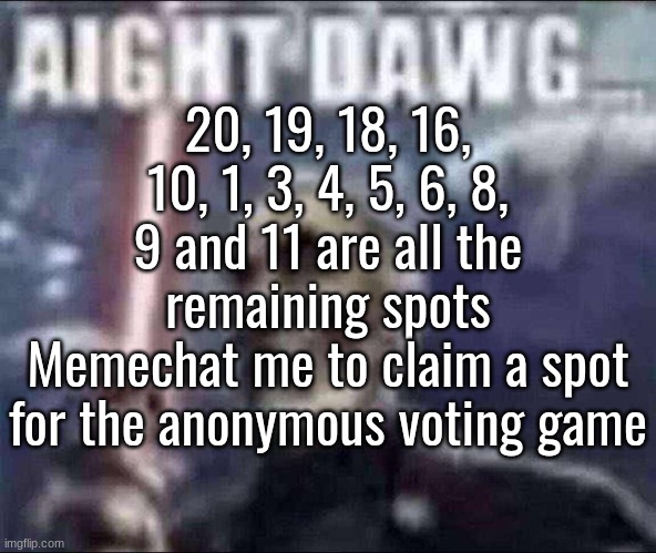 . | 20, 19, 18, 16, 10, 1, 3, 4, 5, 6, 8, 9 and 11 are all the remaining spots
Memechat me to claim a spot for the anonymous voting game | image tagged in aight dawg | made w/ Imgflip meme maker