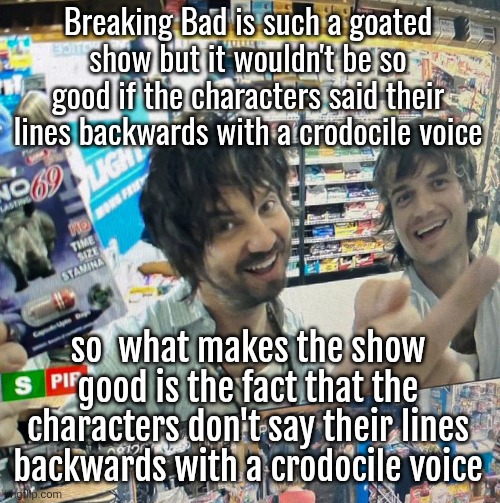 Kevin Parker and Joe Keery | Breaking Bad is such a goated show but it wouldn't be so good if the characters said their lines backwards with a crodocile voice; so  what makes the show good is the fact that the characters don't say their lines backwards with a crodocile voice | image tagged in kevin parker and joe keery | made w/ Imgflip meme maker