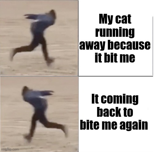 Cats are funny | My cat running away because it bit me; It coming back to bite me again | image tagged in naruto runner drake flipped | made w/ Imgflip meme maker
