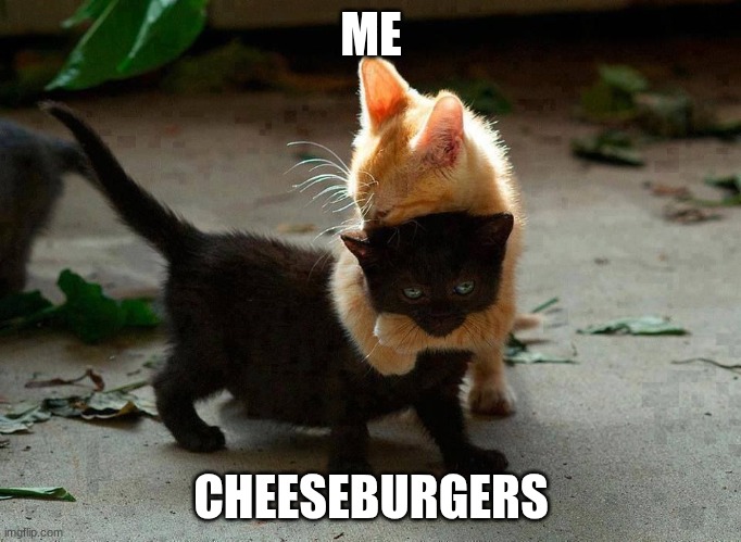 TRUE | ME; CHEESEBURGERS | image tagged in kitten hug | made w/ Imgflip meme maker