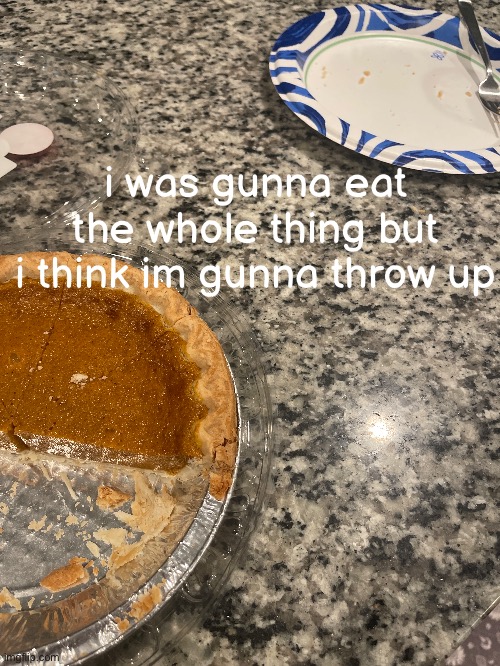 i thought i was cooler than i really was | i was gunna eat the whole thing but i think im gunna throw up | made w/ Imgflip meme maker