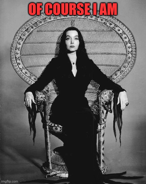 Morticia | OF COURSE I AM | image tagged in morticia | made w/ Imgflip meme maker