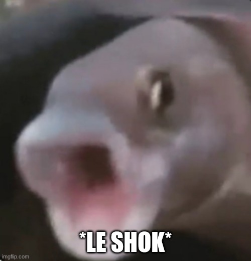 Poggers Fish | *LE SHOK* | made w/ Imgflip meme maker