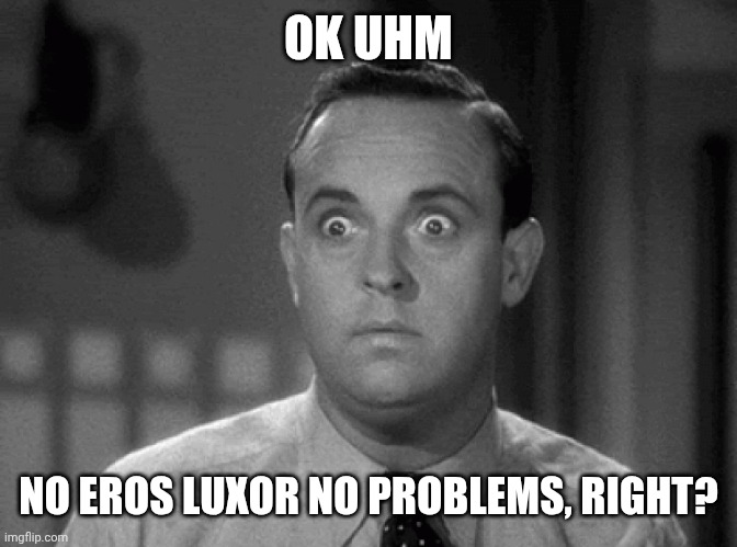 shocked face | OK UHM NO EROS LUXOR NO PROBLEMS, RIGHT? | image tagged in shocked face | made w/ Imgflip meme maker