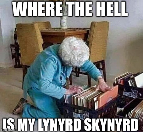 Where The Hell Is My Lynyrd Skynyrd | WHERE THE HELL; IS MY LYNYRD SKYNYRD | image tagged in chrisjoines1 | made w/ Imgflip meme maker