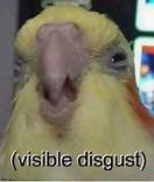 image tagged in visible disgust | made w/ Imgflip meme maker