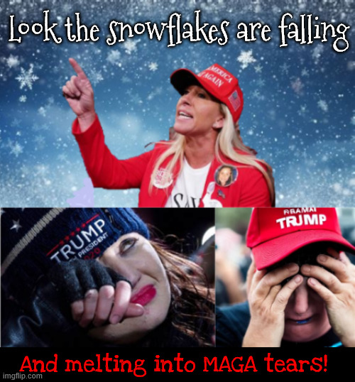 Snowflakes are falling and melting | Look the snowflakes are falling; And melting into MAGA tears! | image tagged in snowflakes are falling and melting,maga tears,maga meltdown,crocodile tears,mtg resigning,trump's tyranny turmoil | made w/ Imgflip meme maker