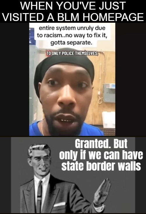 BLM's "black cities". Wearing the classic French beret of the Black Panther Party. They are some old school black supremacists | WHEN YOU'VE JUST VISITED A BLM HOMEPAGE | image tagged in racism,blm,kill yourself guy,identity politics,american politics | made w/ Imgflip meme maker