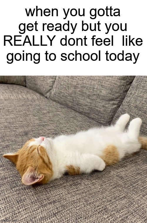 :((( | when you gotta get ready but you REALLY dont feel  like going to school today | image tagged in whiteboard,eepy kitty | made w/ Imgflip meme maker