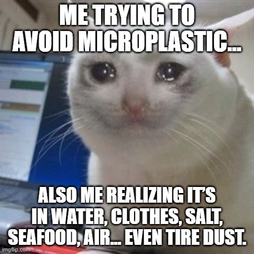 trying to avoid microplastic | ME TRYING TO AVOID MICROPLASTIC…; ALSO ME REALIZING IT’S IN WATER, CLOTHES, SALT, SEAFOOD, AIR… EVEN TIRE DUST. | image tagged in crying cat | made w/ Imgflip meme maker