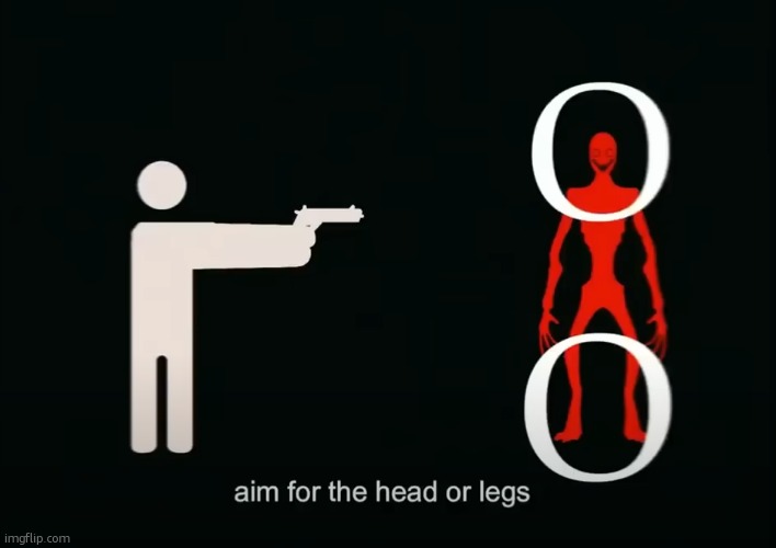 Aim for the Head or Legs | image tagged in aim for the head or legs | made w/ Imgflip meme maker