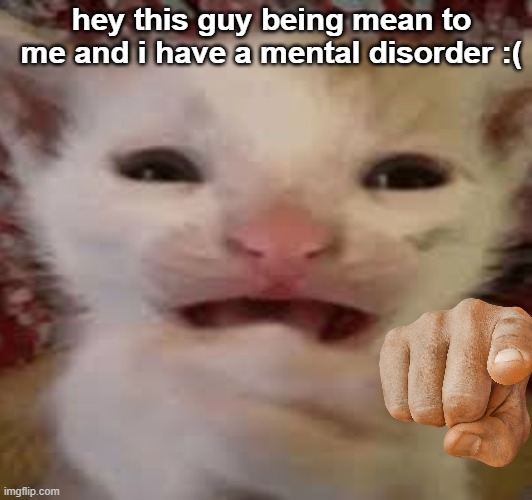 hey this guy being mean to me and i have a mental disorder :( | made w/ Imgflip meme maker