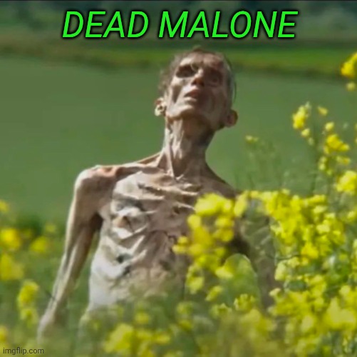 28 years later | DEAD MALONE | image tagged in 28 years later | made w/ Imgflip meme maker