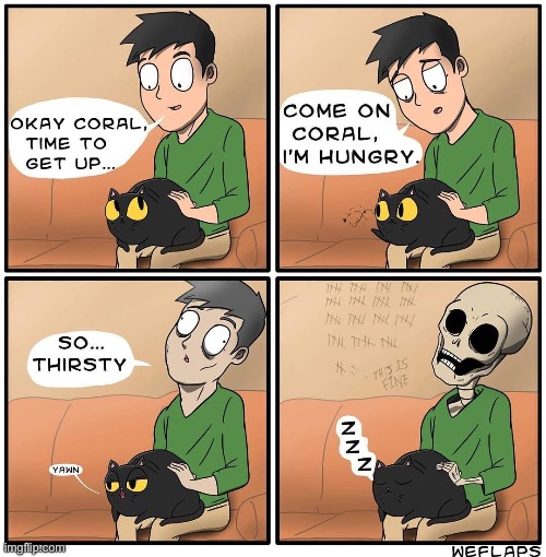 WeFlaps | image tagged in cats,weflaps,comics,coral,lap,wont let him get up | made w/ Imgflip meme maker