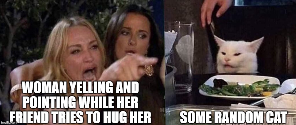 cta | WOMAN YELLING AND POINTING WHILE HER FRIEND TRIES TO HUG HER; SOME RANDOM CAT | image tagged in woman yelling at cat | made w/ Imgflip meme maker