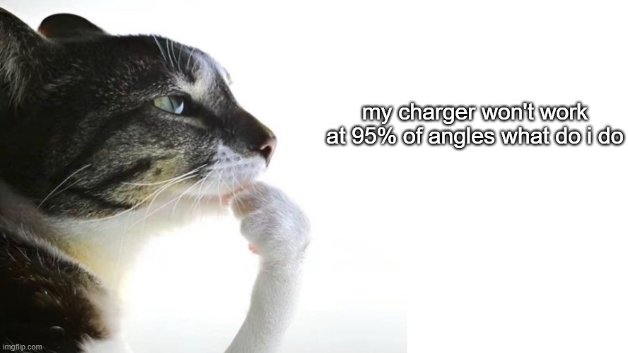 Thinker | my charger won't work at 95% of angles what do i do | image tagged in thinker | made w/ Imgflip meme maker