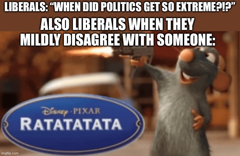 I wonder who’s insane here | LIBERALS: “WHEN DID POLITICS GET SO EXTREME?!?”; ALSO LIBERALS WHEN THEY MILDLY DISAGREE WITH SOMEONE: | image tagged in politics | made w/ Imgflip meme maker