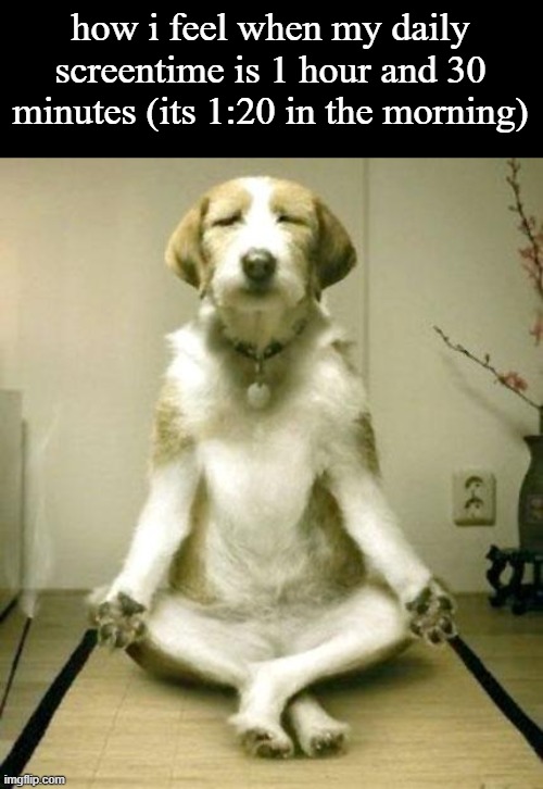 Inner Peace Dog | how i feel when my daily screentime is 1 hour and 30 minutes (its 1:20 in the morning) | image tagged in inner peace dog | made w/ Imgflip meme maker