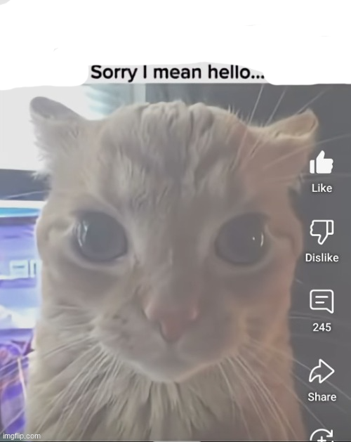 High Quality ____..sorry..I mean hello Blank Meme Template