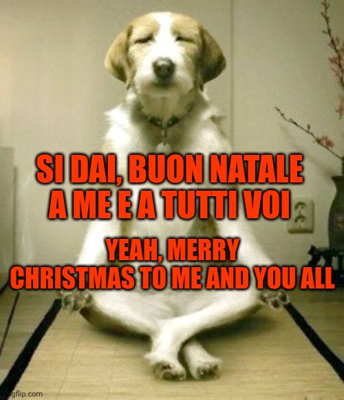First ITA/ENG meme | SI DAI, BUON NATALE A ME E A TUTTI VOI; YEAH, MERRY CHRISTMAS TO ME AND YOU ALL | image tagged in inner peace dog | made w/ Imgflip meme maker