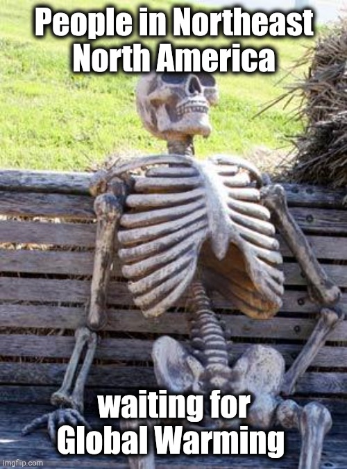 Waiting Skeleton Meme | People in Northeast
North America waiting for Global Warming | image tagged in memes,waiting skeleton | made w/ Imgflip meme maker