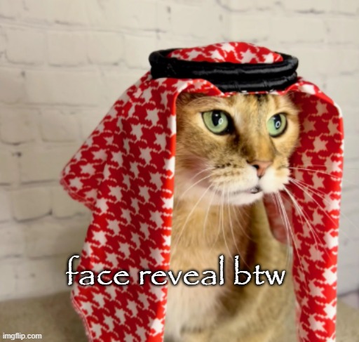 face reveal btw | made w/ Imgflip meme maker