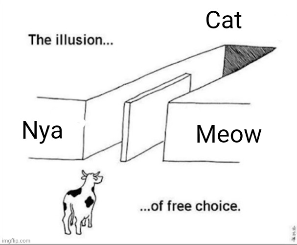 What am I on and can I have more of it | Cat; Nya; Meow | image tagged in illusion of free choice | made w/ Imgflip meme maker