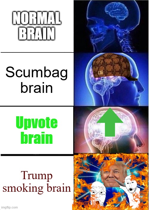 Drip pt. 22 | NORMAL BRAIN; Scumbag brain; Upvote brain; Trump smoking brain | image tagged in memes,expanding brain,funny,fun,drip,stop reading the tags | made w/ Imgflip meme maker