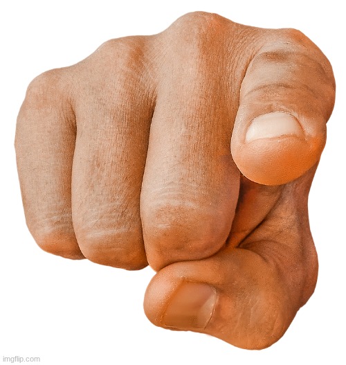 finger pointing at you | image tagged in finger pointing at you | made w/ Imgflip meme maker